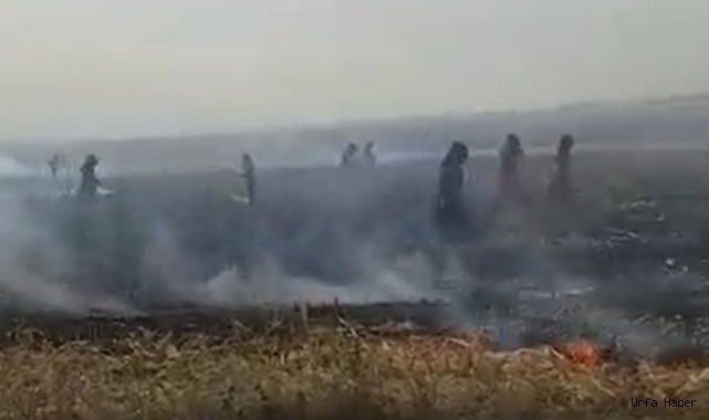 Tanal, ‘kahreden yoksulluk görüntüsü’ diyerek paylaştı!