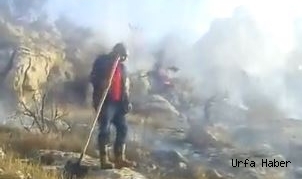 Urfa’nın ilçesinde orman yangını