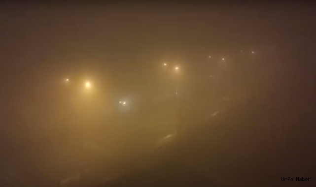 Şanlıurfa 'sis'e teslim oldu!