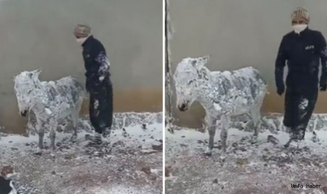 Siverek'te donmak üzerelerdi!  Vali Erin devreye girdi