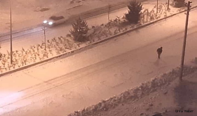 Urfa’da böyle aşk itirafı görülmedi! Kara aldırış etmedi