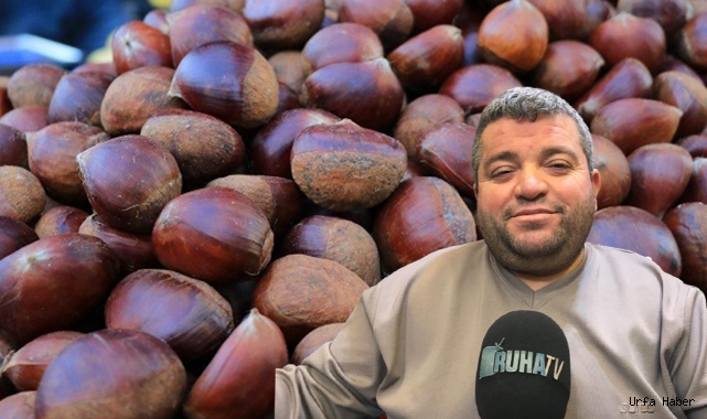 Urfa'da Çin kestanesi talep görmüyor? İşte nedeni