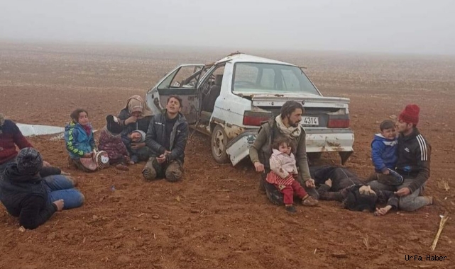 Urfa'da feci kaza: Çok sayıda yaralı var!