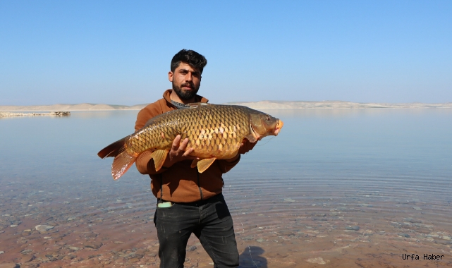 Urfa’da balık tutma yarışması düzenlendi