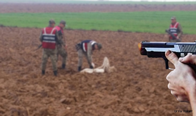 Yine Urfa, yine arazi kavgası: 1 ölü 3 yaralı