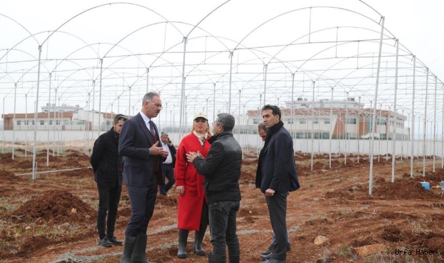 Eyyübiye’de istihdam projeleri başladı