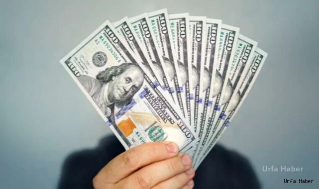 Merkez Bankası yıl sonu enflasyon ve dolar tahminini yükseltti