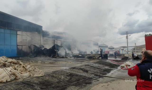 Şanlıurfa'daki sünger fabrikasında büyük yangın
