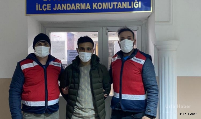 Urfa'da firari hırsız kız arkadaşının evinde yakalandı