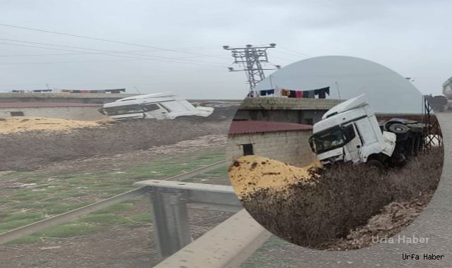 Urfa'da tır ahıra çarptı! 2 hamile kadın yaralandı