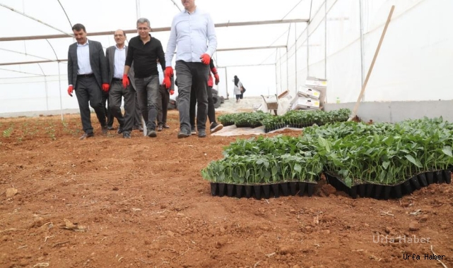 Eyyübiye’de fideler toprakla buluştu