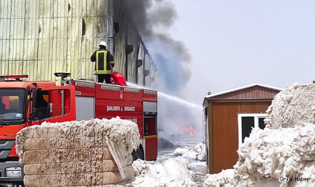 Urfa'daki fabrika yangını kontrol altına alındı