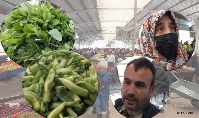 Urfa semt pazarlarında son durum! Esnaf memnun vatandaş dertli