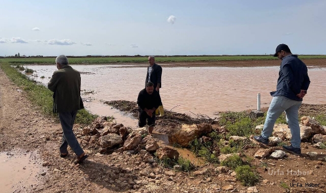 Suruç'ta çiftçinin emeği sel ile birlikte gitti
