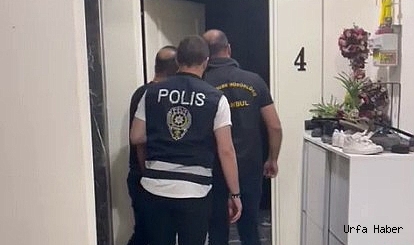 8 ilde dev dolandırıcılık operasyonu: 36 gözaltı