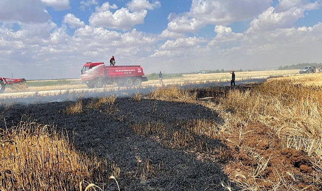 Buğday tarlasının yanmasını mahalleli engelledi