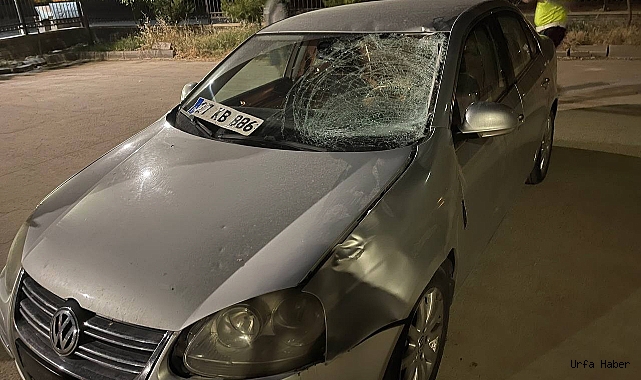 Suruç'ta trafik kazası: 1 ölü