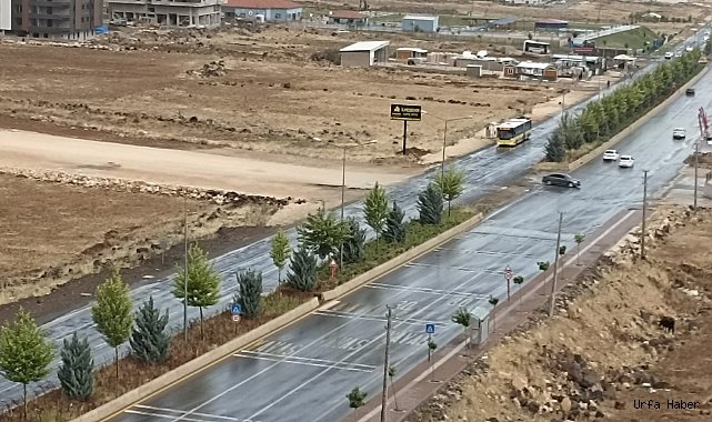 Urfa Hasat Zamanı Yağmura Teslim Oldu