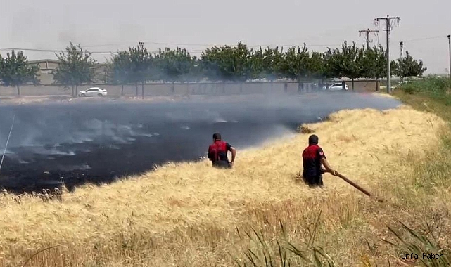 Yüksek gerilim hattı buğday tarlasını kül etti