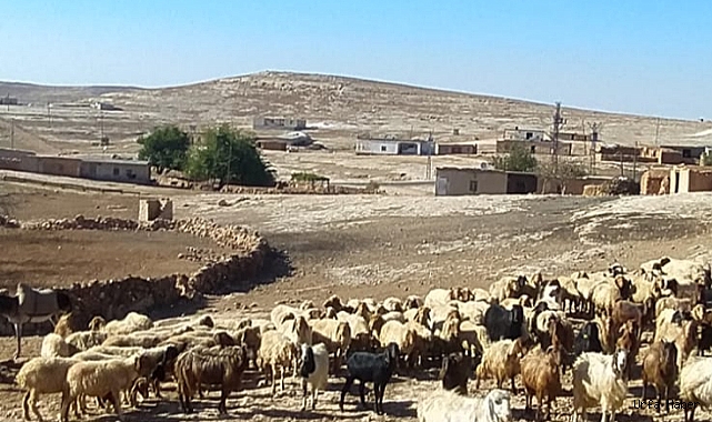 VEKİL TANAL: ''GAP'IN BAŞKENTİ ŞANLIURFA, SU SIKINTISINDA AFRİKA'YI ARATMIYOR!''