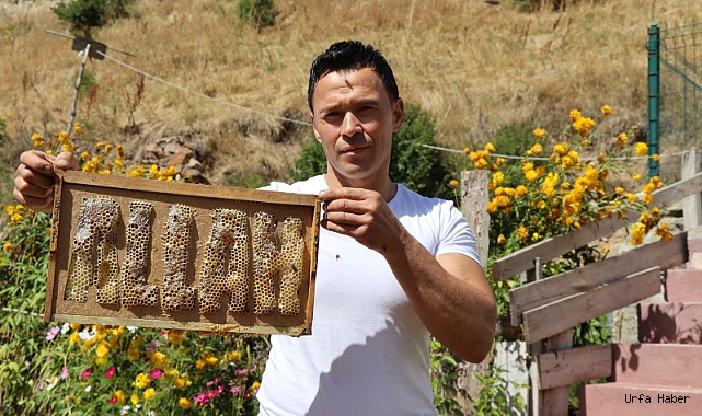ARILARA YAZMAYI ÖĞRETEN ADAM