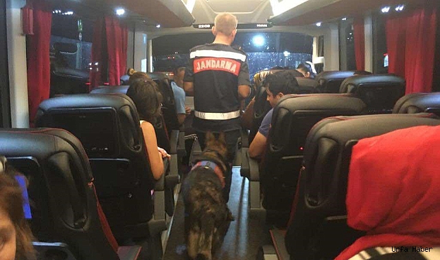 Yabancı uyruklu şahıs otobüste uyuşturucu ile yakalandı