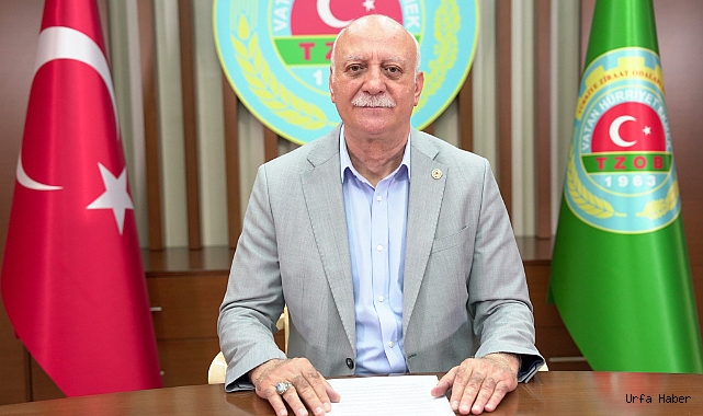 ZEYTİNYAĞI ÜRETİCİDE 168, MARKETTE 900 LİRA