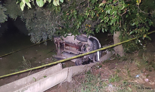 Bursa’da yola fırlayan domuza çarpan araç zeytinliğe uçtu: 2 ölü