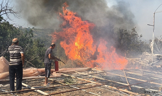 Serada çıkan yangında 10 dönüm makilik alan yandı