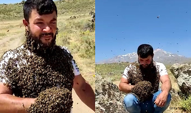 "ARI ADAM" OLARAK TANINAN ÜRETİCİNİN BİN KOVAN ARISI SELDE TELEF OLDU