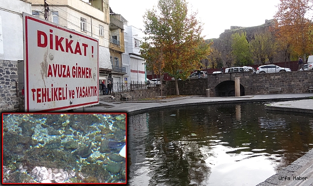 DİYARBAKIR’DA 'BALIKLIGÖLÜ' ANDIRAN GÖRÜNTÜ