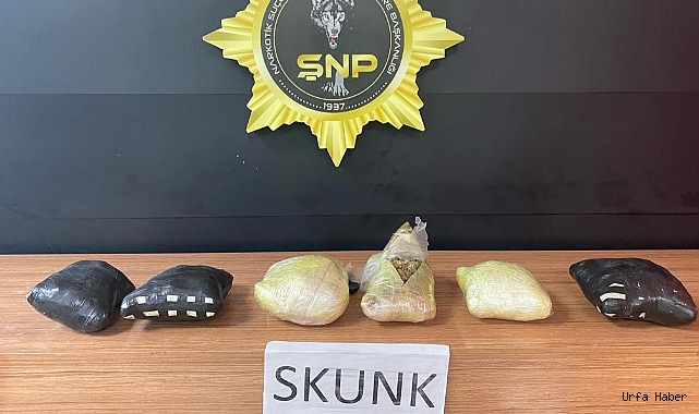 ŞANLIURFA’DA 3 KİLO 900 GRAM SKUNK ELE GEÇİRİLDİ: 1 GÖZALTI
