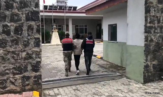 ŞANLIURFA’DA TERÖR OPERASYONU: 4 GÖZALTI