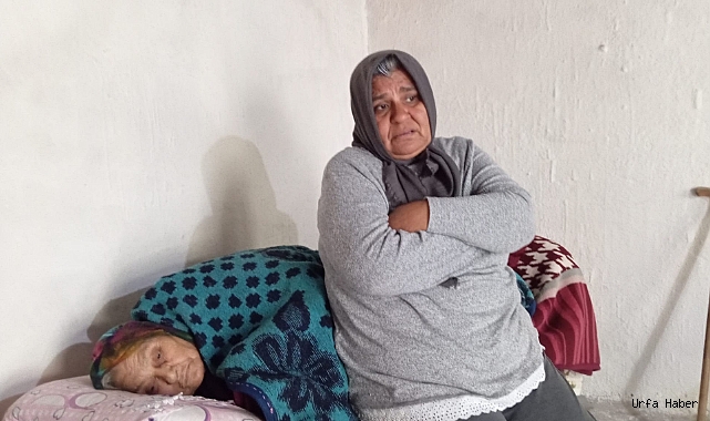 "EV AKIYOR, HALIMIZ YOK, KİLİMİMİZ YOK, YİYECEK EKMEĞİMİZ YOK"
