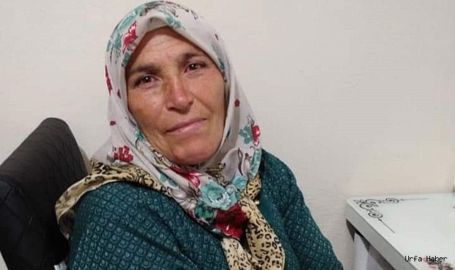 ÖKÜZ'ÜN DARBESİ İLE KADIN HAYATINI KAYBETTİ