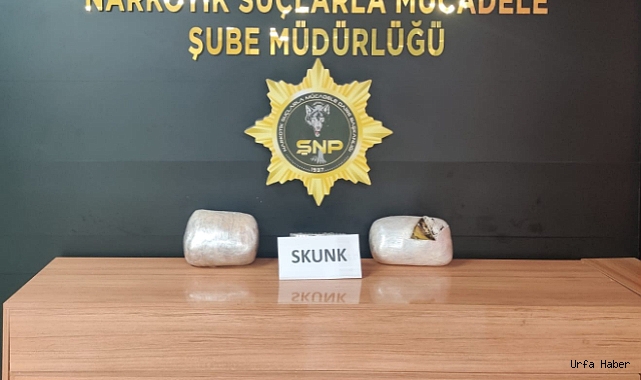 ŞANLIURFA'DA 4 KİLOGRAM SKUNK ELE GEÇİRİLDİ