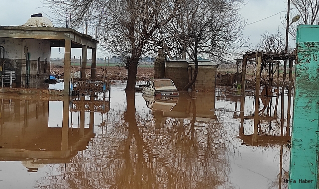 ŞANLIURFA'DA KIRSAL MAHALLELER SEL SULARI ALTINDA KALDI