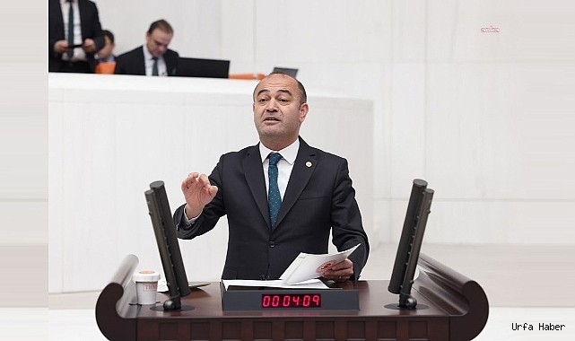 BESİLİK DANALARIN KİLOSU 3,90 DOLARA ALINDI, ÜRETİCİYE YAKLAŞIK 6 DOLARA SATILACAK.