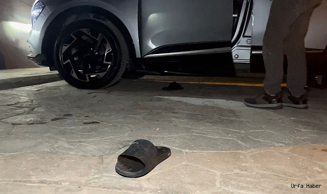 Deprem korkusu canından etti