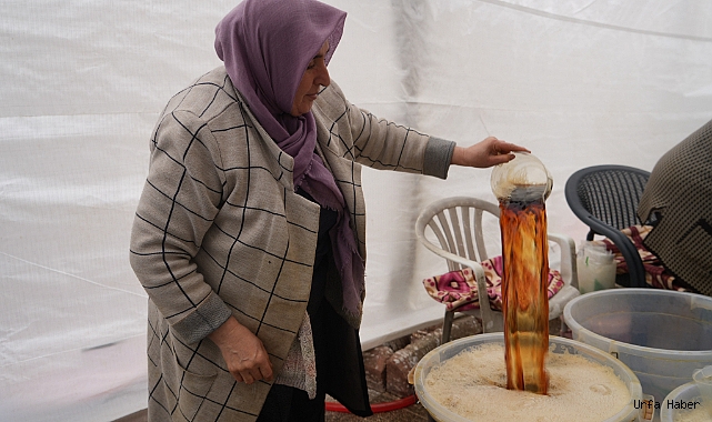 İFTAR SOFRALARININ VAZGEÇİLMEZ İÇECEĞİ MEYAN ŞERBETİ İÇİN YOĞUN MESAİ