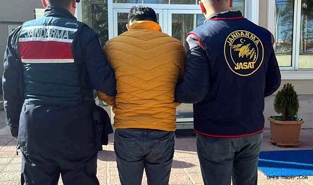 13 YIL HAPİS CEZASI İLE ARANAN TERÖR ÖRGÜTÜ MENSUBU JANDARMA TARAFINDAN YAKALANDI