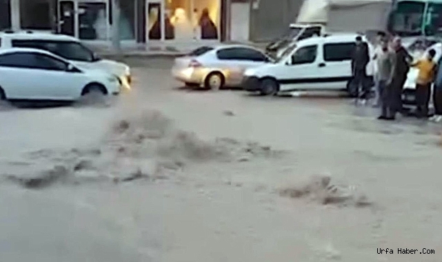 ŞANLIURFA'DA SAĞANAK YAĞIŞ ETKİLİ OLDU