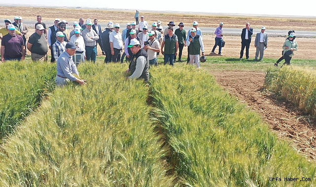 TİGEM’DEN BÖLGE ÇİFTÇİSİNİ UMUTLANDIRAN PROJE