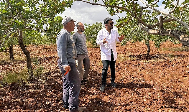 ZİRAAT MÜHENDİSLERİ DOLU VE YAĞMUR SONRASI SAHAYA İNDİ