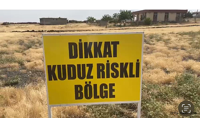 ŞANLIURFA'DA KORKUTAN KUDUZ VAKASI