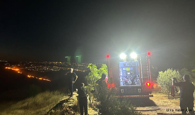 URFA’DA KORKUTAN ORMAN YANGINI