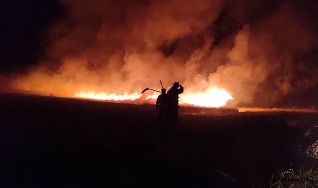 YÜZLERCE DÖNÜM ARAZI KÜL OLDU