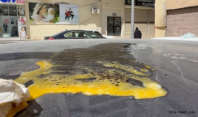 GÜNEŞİN ALTINDA YUMURTA PİŞTİ