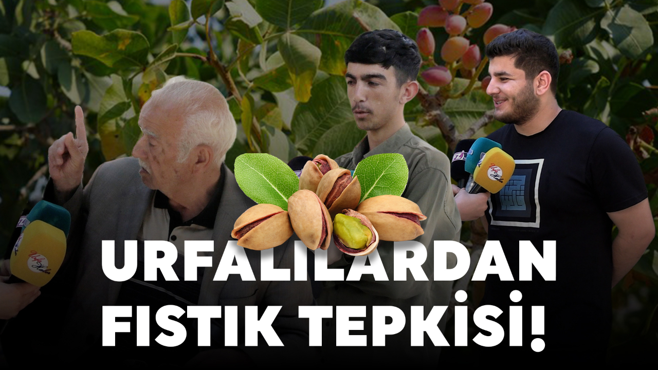 Urfalılardan Fıstık Tepkisi!