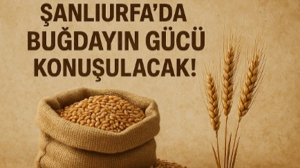 Şanlıurfa’da Buğdayın Gücü Konuşulacak!